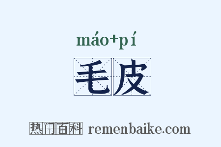 毛皮是什么意思的图片